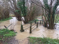 Footpath and Alders Stream, February 2020