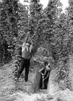 Digging a shelter in the fields